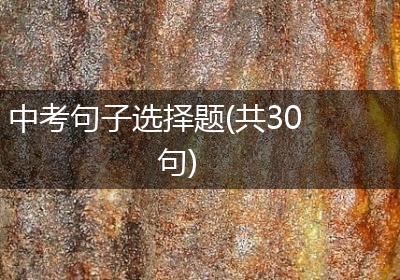 中考句子选择题(共30句)