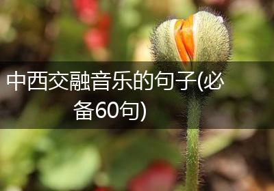 中西交融音乐的句子(必备60句)