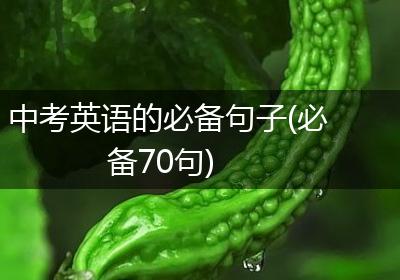 中考英语的必备句子(必备70句)