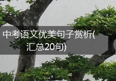 中考语文优美句子赏析(汇总20句)
