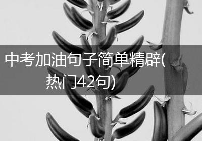 中考加油句子简单精辟(热门42句)