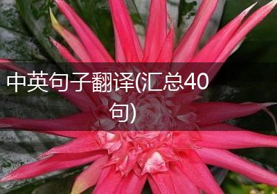 中英句子翻译(汇总40句)
