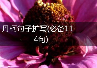 丹柯句子扩写(必备114句)