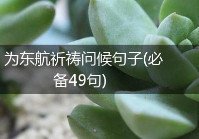 为东航祈祷问候句子(必备49句)