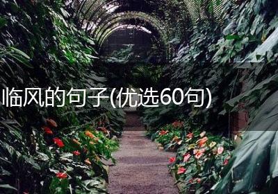 临风的句子(优选60句)