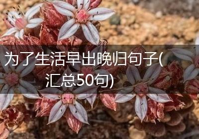 为了生活早出晚归句子(汇总50句)