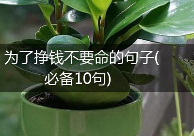 为了挣钱不要命的句子(必备10句)
