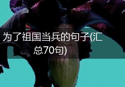 为了祖国当兵的句子(汇总70句)