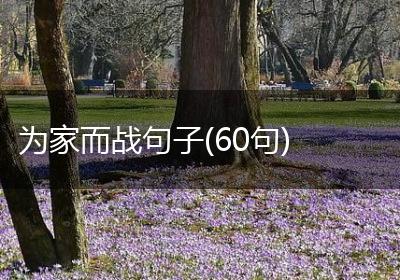 为家而战句子(60句)
