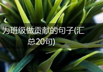 为班级做贡献的句子(汇总20句)