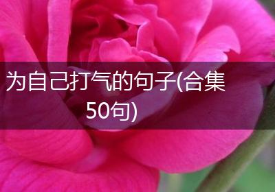 为自己打气的句子(合集50句)