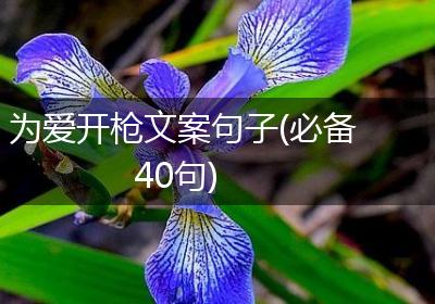 为爱开枪文案句子(必备40句)