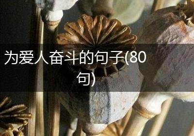 为爱人奋斗的句子(80句)