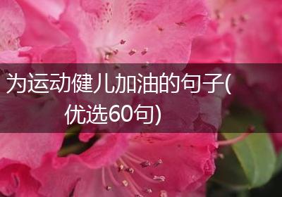 为运动健儿加油的句子(优选60句)