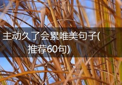 主动久了会累唯美句子(推荐60句)