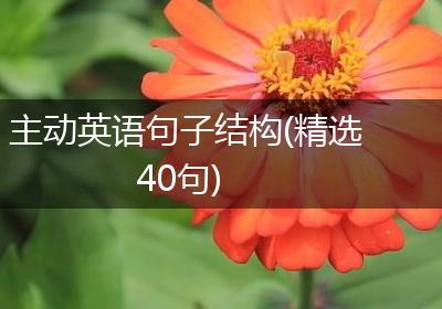 主动英语句子结构(精选40句)
