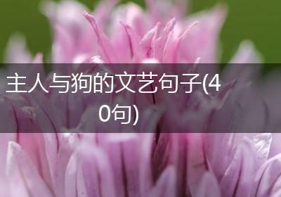 主人与狗的文艺句子(40句)