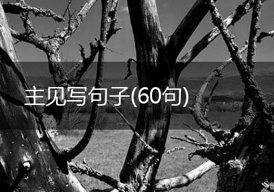 主见写句子(60句)