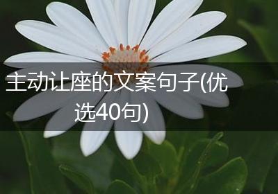 主动让座的文案句子(优选40句)