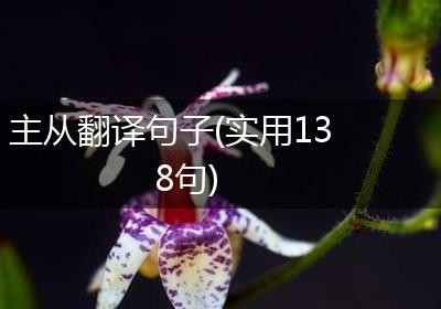 主从翻译句子(实用138句)
