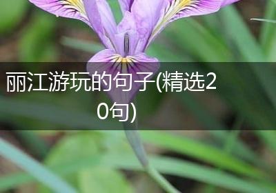 丽江游玩的句子(精选20句)