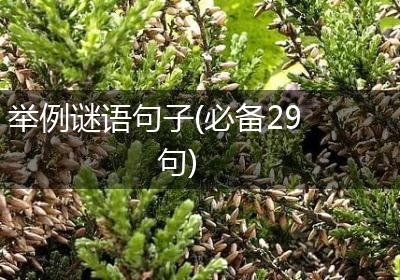 举例谜语句子(必备29句)