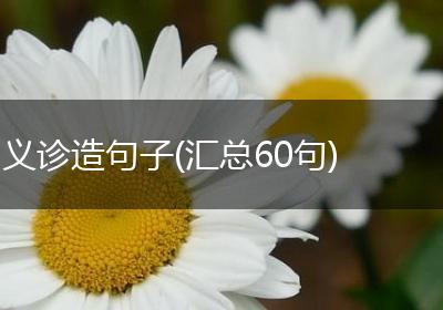 义诊造句子(汇总60句)