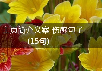 主页简介文案 伤感句子(15句)