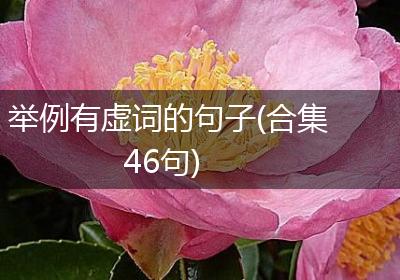 举例有虚词的句子(合集46句)