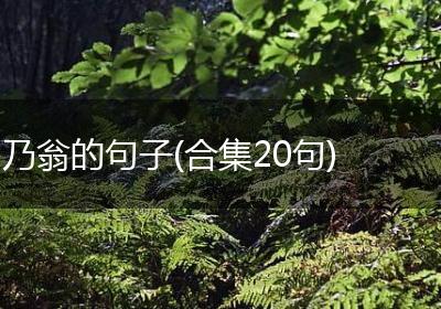 乃翁的句子(合集20句)