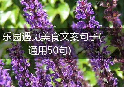 乐园遇见美食文案句子(通用50句)