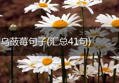 乌蔹莓句子(汇总41句)
