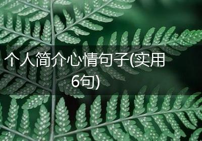 个人简介心情句子(实用6句)