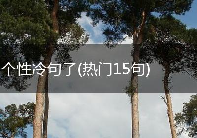 个性冷句子(热门15句)