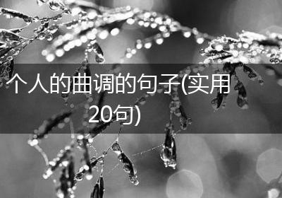 个人的曲调的句子(实用20句)