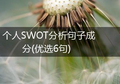 个人SWOT分析句子成分(优选6句)