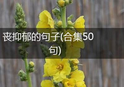 丧抑郁的句子(合集50句)