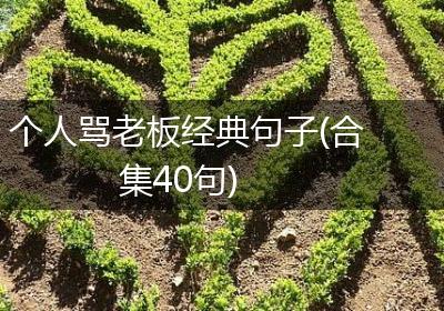 个人骂老板经典句子(合集40句)