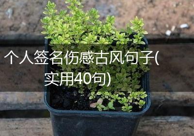 个人签名伤感古风句子(实用40句)