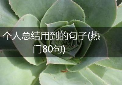 个人总结用到的句子(热门80句)
