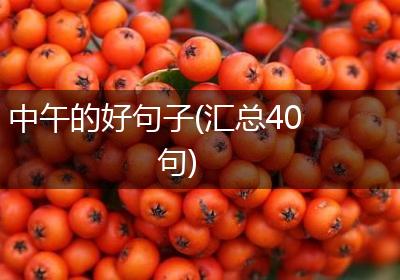 中午的好句子(汇总40句)