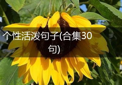 个性活泼句子(合集30句)