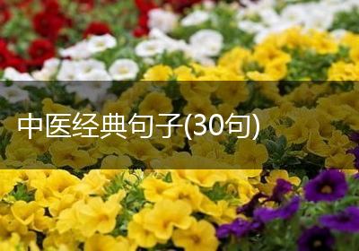 中医经典句子(30句)