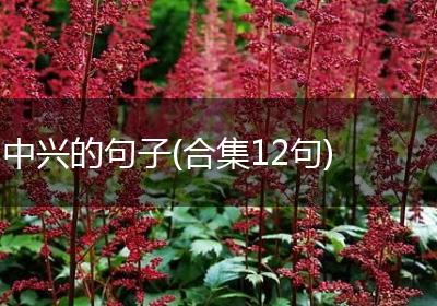 中兴的句子(合集12句)