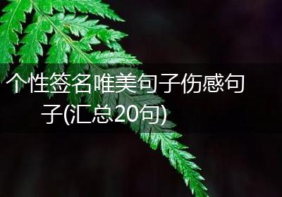 个性签名唯美句子伤感句子(汇总20句)