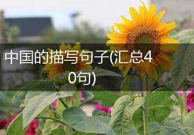 中国的描写句子(汇总40句)