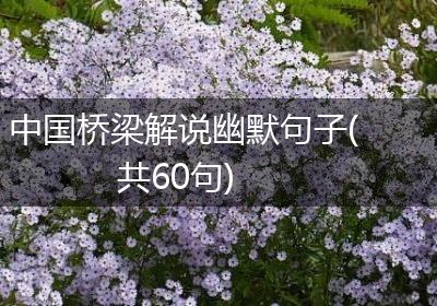 中国桥梁解说幽默句子(共60句)
