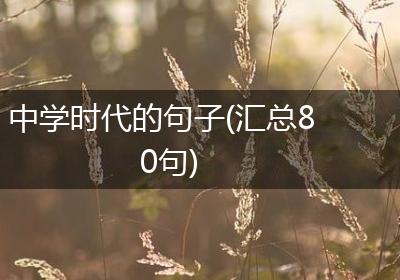中学时代的句子(汇总80句)