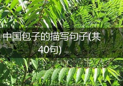 中国包子的描写句子(共40句)