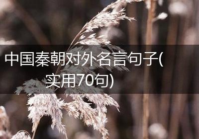 中国秦朝对外名言句子(实用70句)